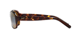 Tortoise Brown
