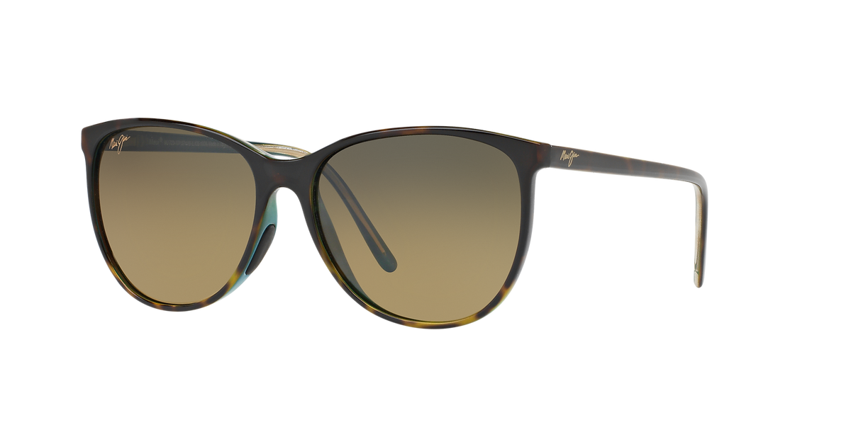 Tortoise Brown