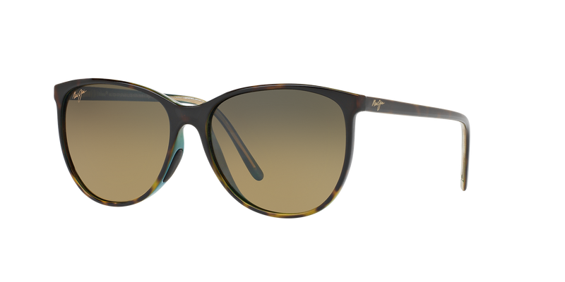 Tortoise Brown