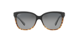 Tortoise Black