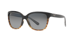 Tortoise Black
