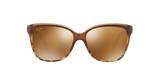 Translucent Chocolate Tortoise