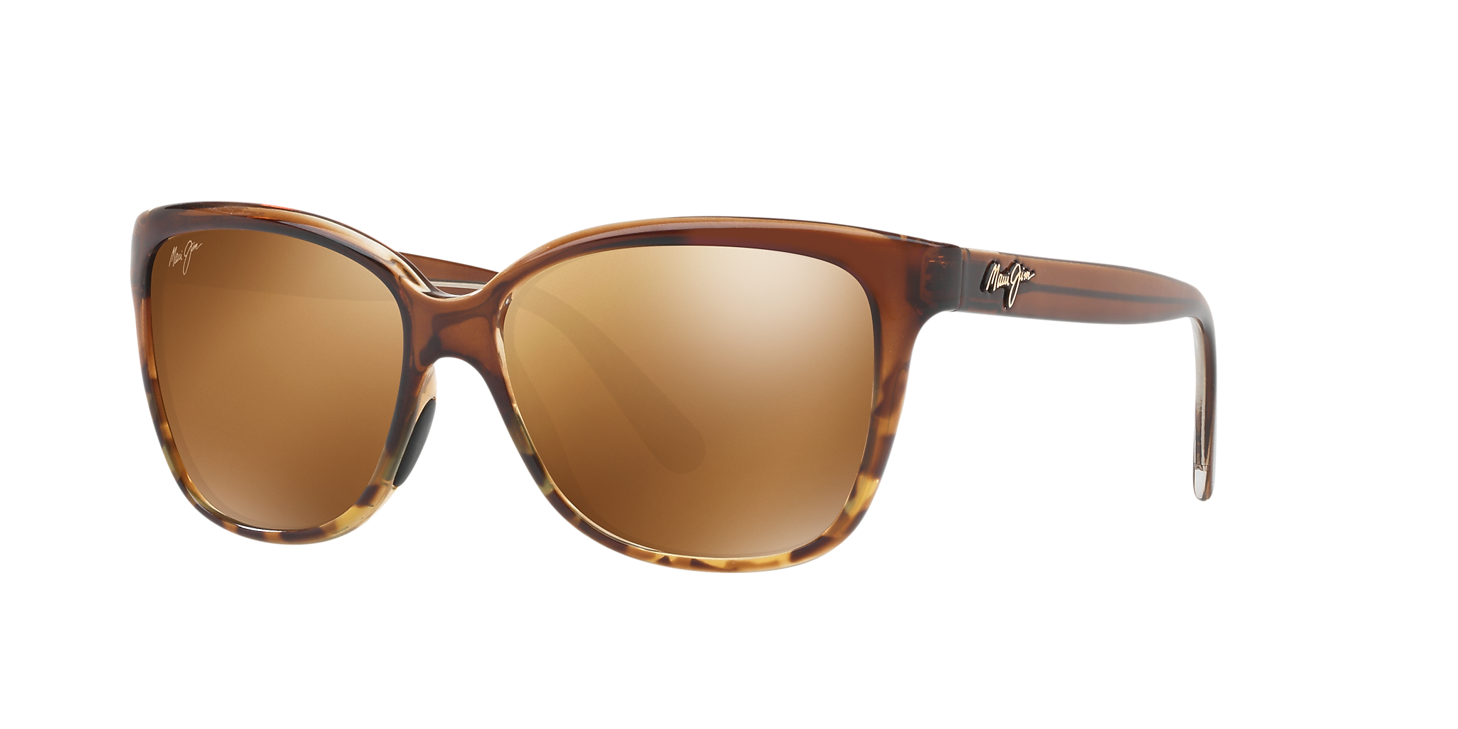 Translucent Chocolate Tortoise