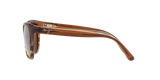Translucent Chocolate Tortoise