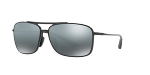 Black  - Neutral Grey Polarized
