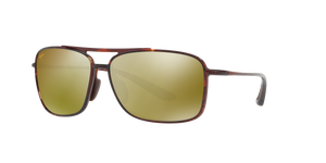 Tortoise  - HCL® Bronze