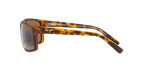 Tortoise