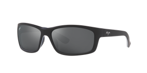 Black  - Neutral Grey Polarized