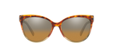 Tortoise Tan
