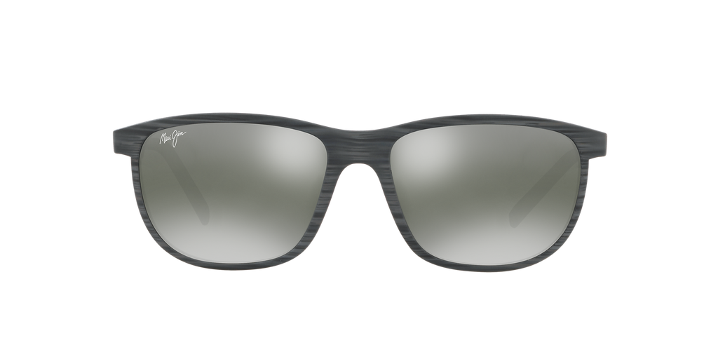 Grey Tortoise