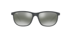 Grey Tortoise