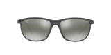 Grey Tortoise