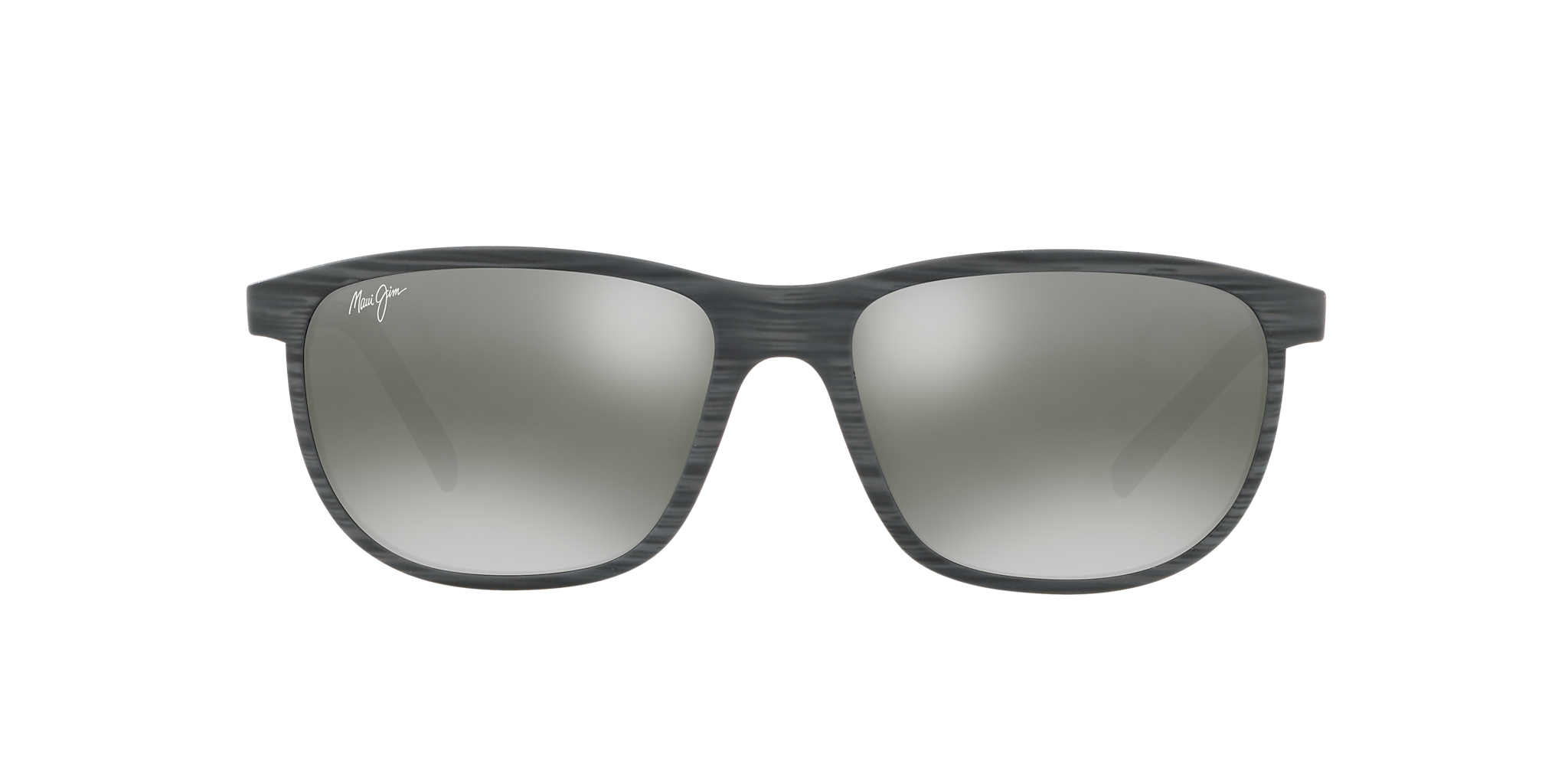 Grey Tortoise