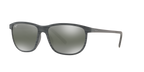 Grey Tortoise