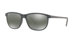 Grey Tortoise