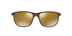 Tortoise Brown