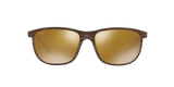 Tortoise Brown
