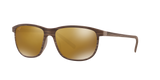 Tortoise Brown