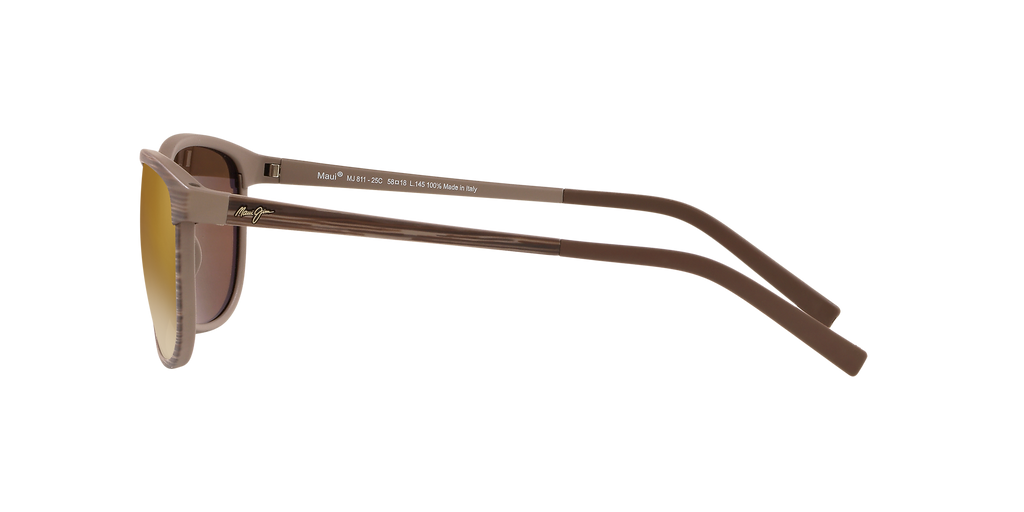 Tortoise Brown