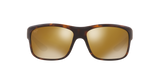 Tortoise Brown