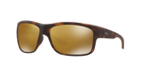 Tortoise Brown