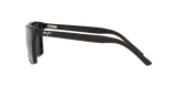 Black Shiny