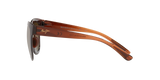 Brown Clear
