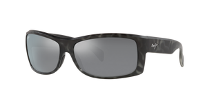 Grey  - Neutral Grey Polarized