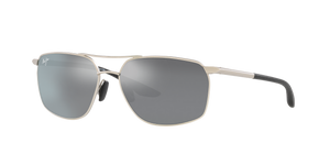 Silver  - Neutral Grey Polarized
