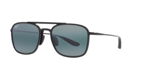 Black Shiny  - Neutral Grey Polarized