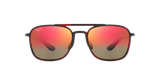 Tortoise Red