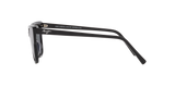 Black Shiny