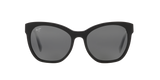 Black Shiny