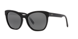 Black Shiny