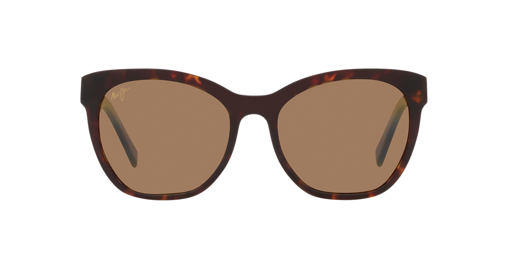 Tortoise