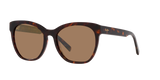 Tortoise