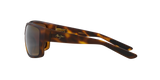 Tortoise