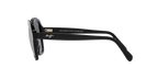 Black Shiny