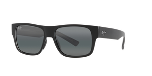 Black Shiny  - Grey Polar