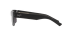 Black Shiny