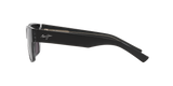 Black Shiny