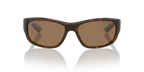 Tortoise Matte