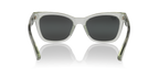 Grey Shiny