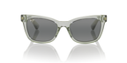 Grey Shiny