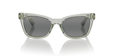 Grey Shiny