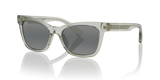 Grey Shiny