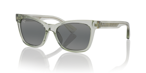 Grey Shiny  - Grey Gradient Polarized
