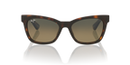 Tortoise