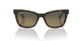 Tortoise