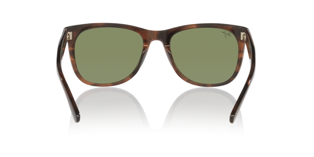 Brown Shiny